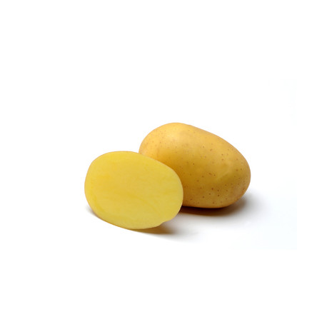 Sadbové brambory Marabel 5kg